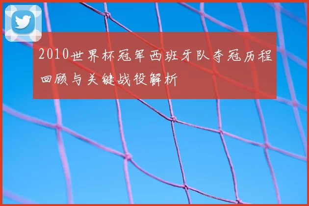 2010世界杯冠军西班牙队夺冠历程回顾与关键战役解析