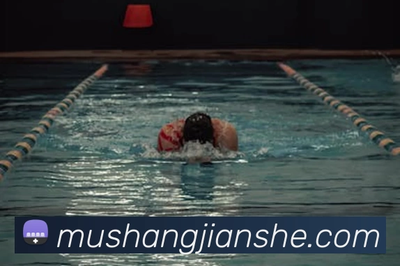 App Interface Preview