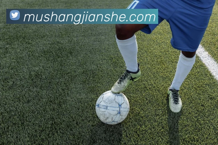 数据防护可视化